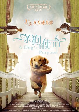 96亚洲精品久