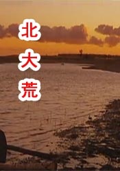 中文字幕在线看